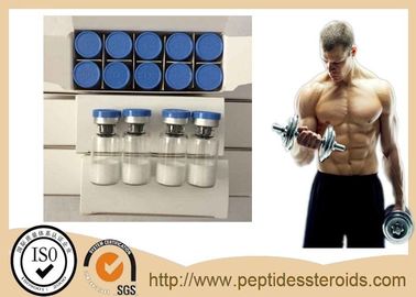 Ipamorelin Peptide Steroids Ipamorelin 2mg/Vial Lyophilized Powder Injectable Peptide