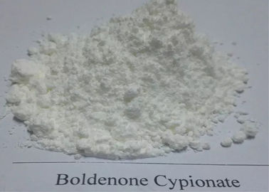 بدنسازی سفید پودر خام Boldenone استروئید / Boldenone Cypionate CAS 106505-90-2 برای عضله