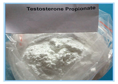 تستوسترون پودر CAS 57-85-2 تست استروئید تزریق Propinoate