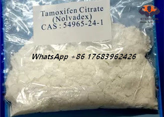 CAS 54965-24-1 Nolvadex Tamoxifen Citrate Estrogen Blocker Steroids White Crystaline Powder