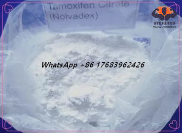 پودر سفید ضد استروژن استروئیدها تاموکسیفن سیترات CAS 54965-24-1 Nolvadex CAS 54965-24-1